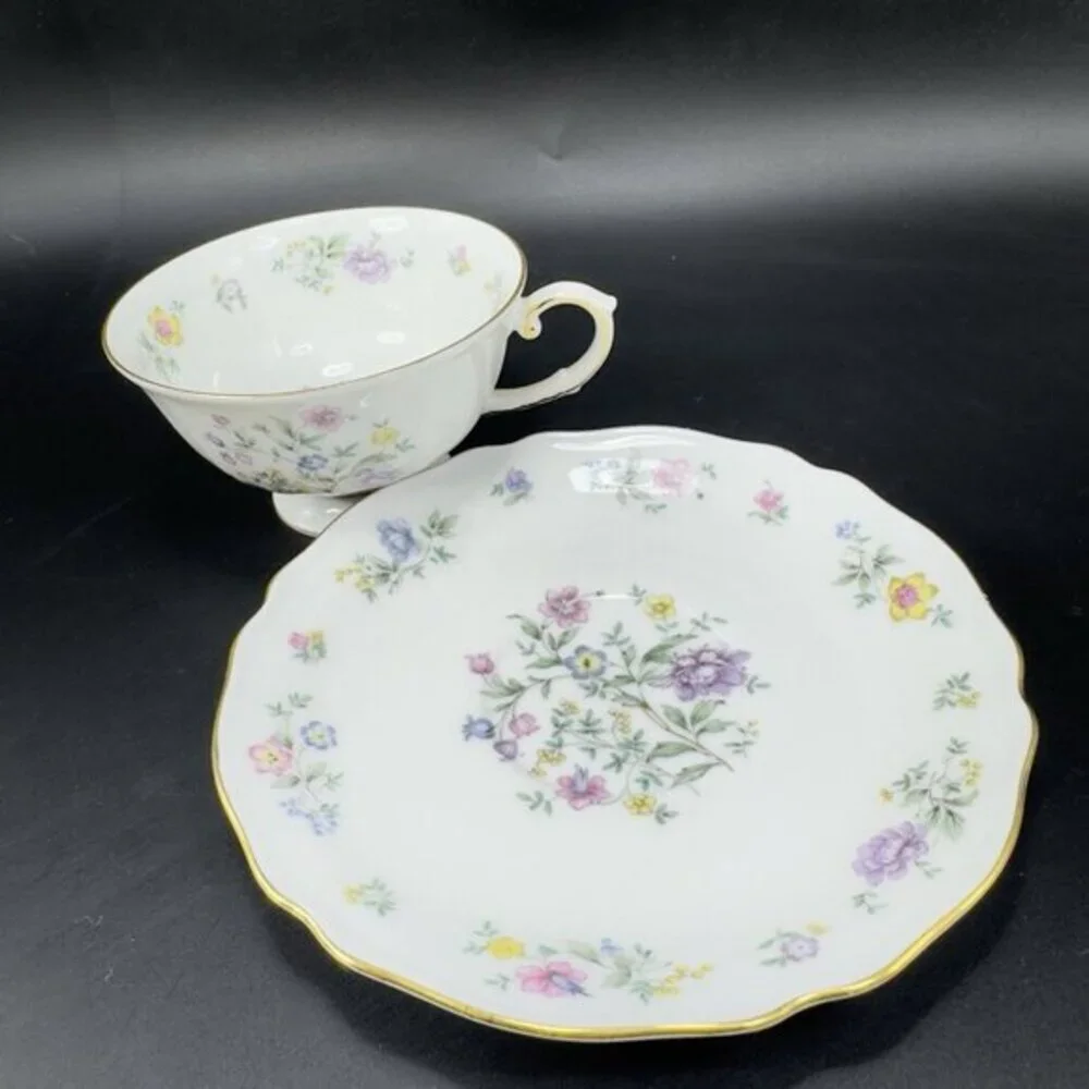 Franconia K&A Krautheim Selb Bavaria Germany Millefleurs Porcelain Teacup Saucer